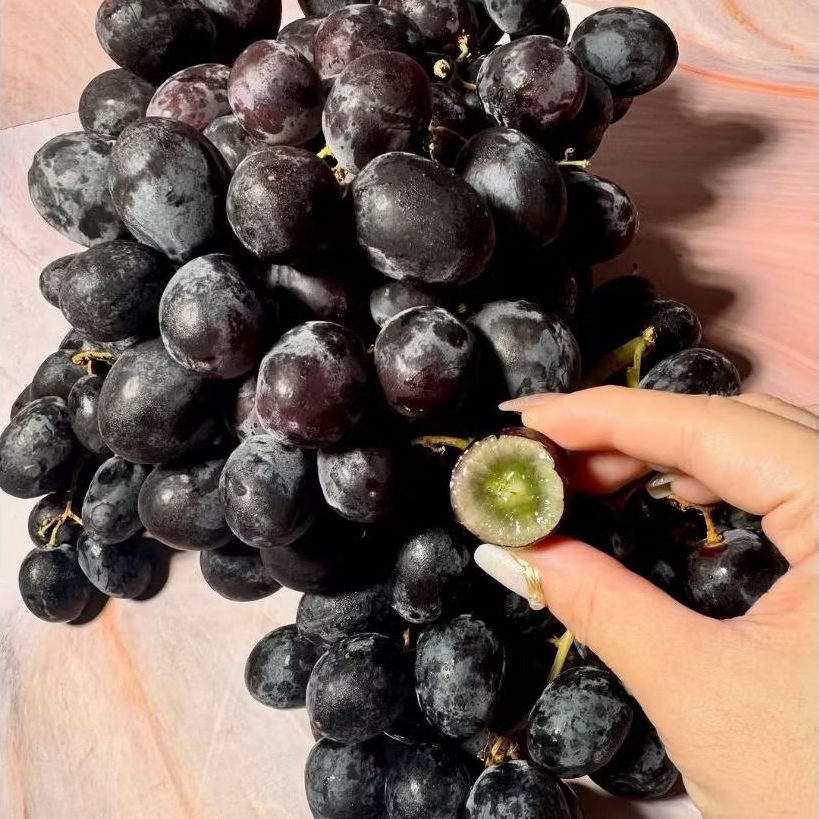 

BUAH ANGGUR AUTUM ROYAL AFRIKA 500gr