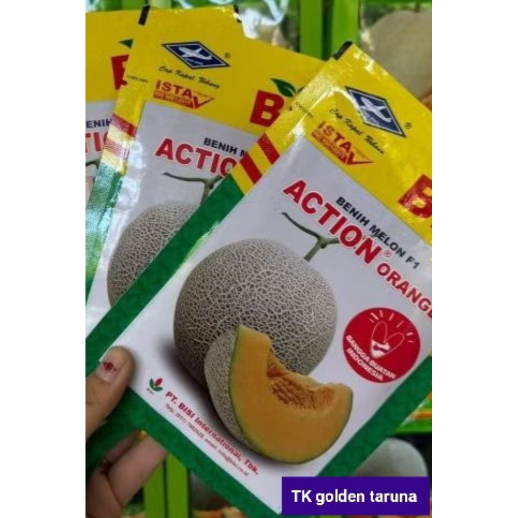 BENIH MELON ACTION ORANGE F1 isi 550 btr