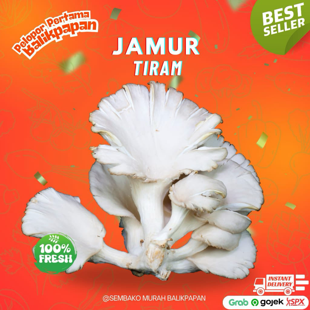 

jamur tiram per pack