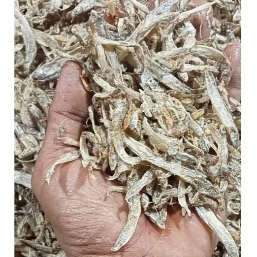 

ikan asin laut(teri@jengki)