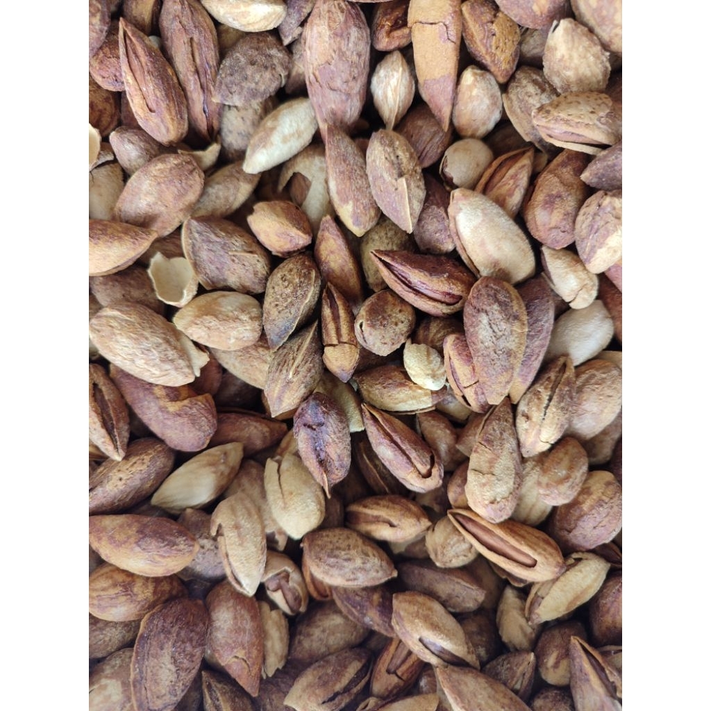 

Kacang Almond Kulit Manis Gurih Repack Oleh oleh umroh haji