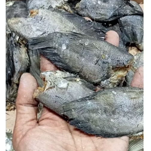 

ikan asin laut (sepat Siem)