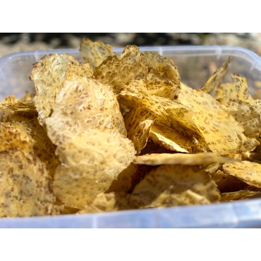 

KERUPUK JENGKOL ASLI JENGKOL PADANG