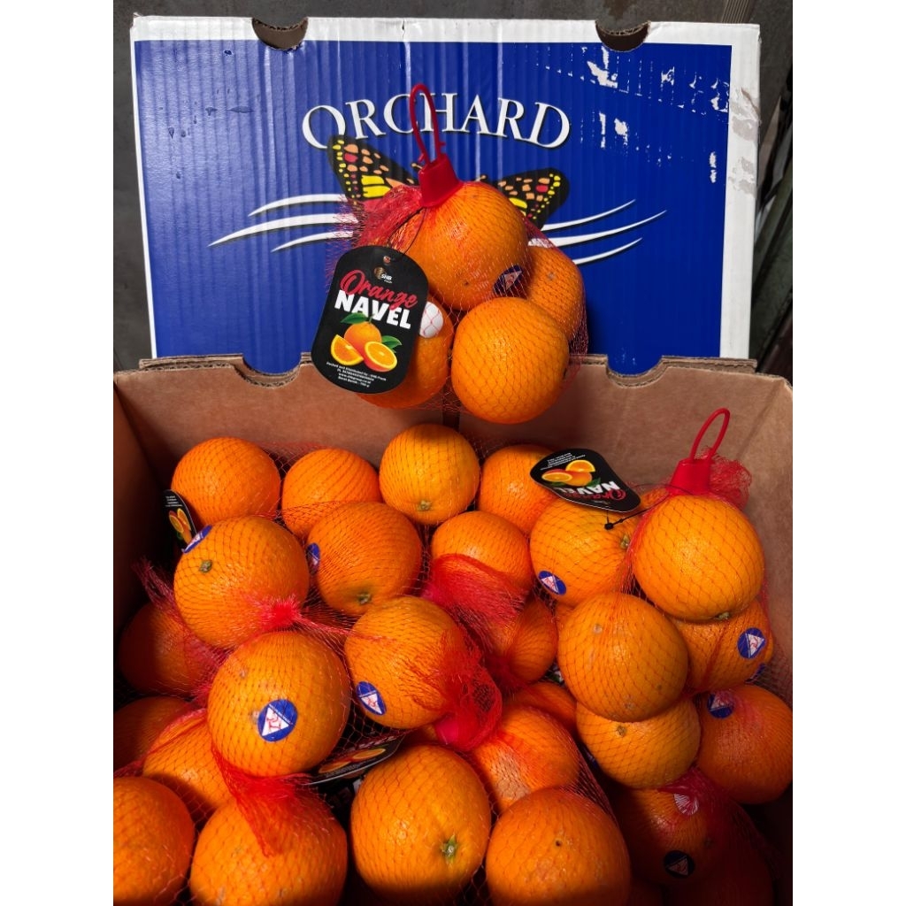 

Sankist Navel Aust Jaring 800gr