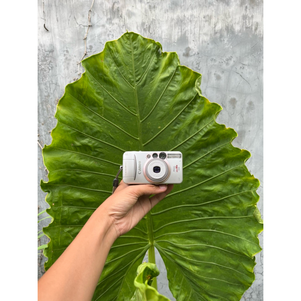 KAMERA ANALOG CANON PRIMA ZOOM 80u