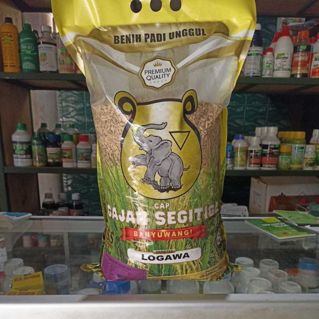 

Padi Logawa Gajah Segitiga