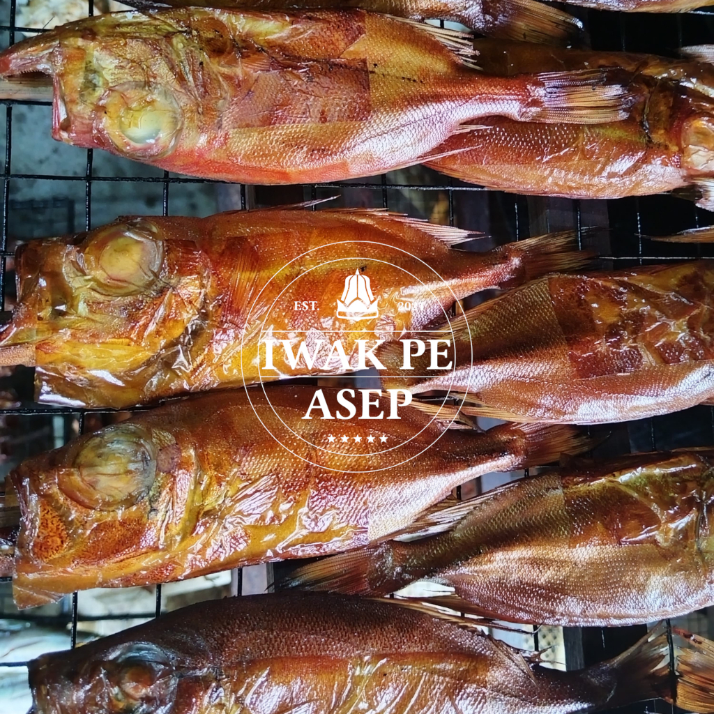 

IWAK PE ASEP DEMANG TUNA ASAP DEMANG PANGGANG