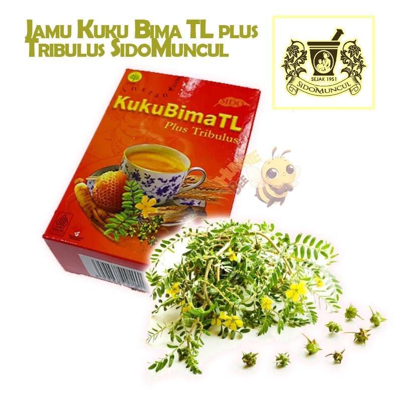 

Jamu Kuku Bima TL plus Tribulus SidoMuncul 1Box 5Sachet