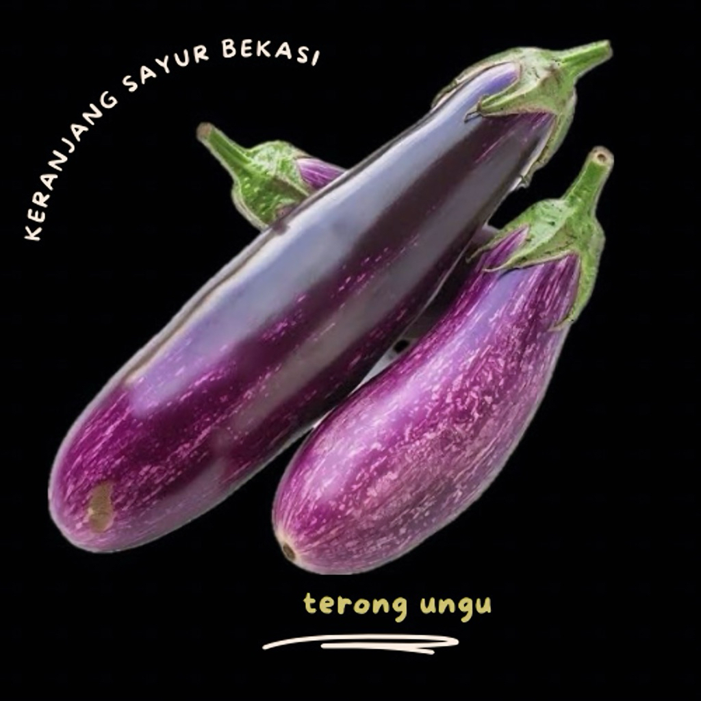 

terong ungu / keranjang sayur bekasi