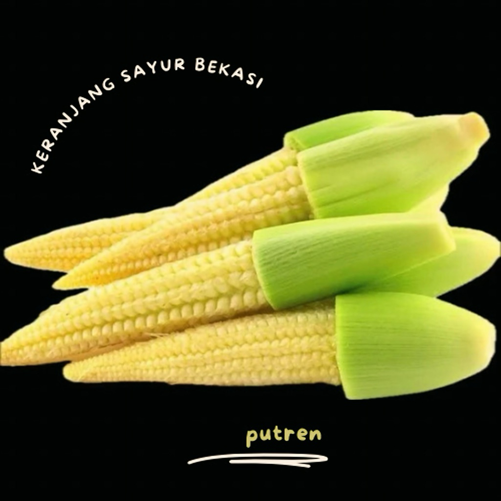 

jagung putren 1/4 / keranjang sayur bekasi