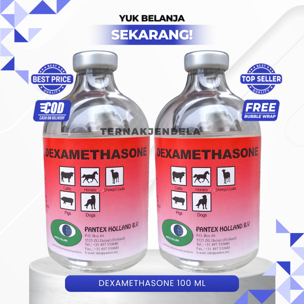 DEXAMETHASONE 100 ML PANTEX  HOLLAND - DEXAMETHASON PANTEX ANTI RADANG UNTUK SAPI