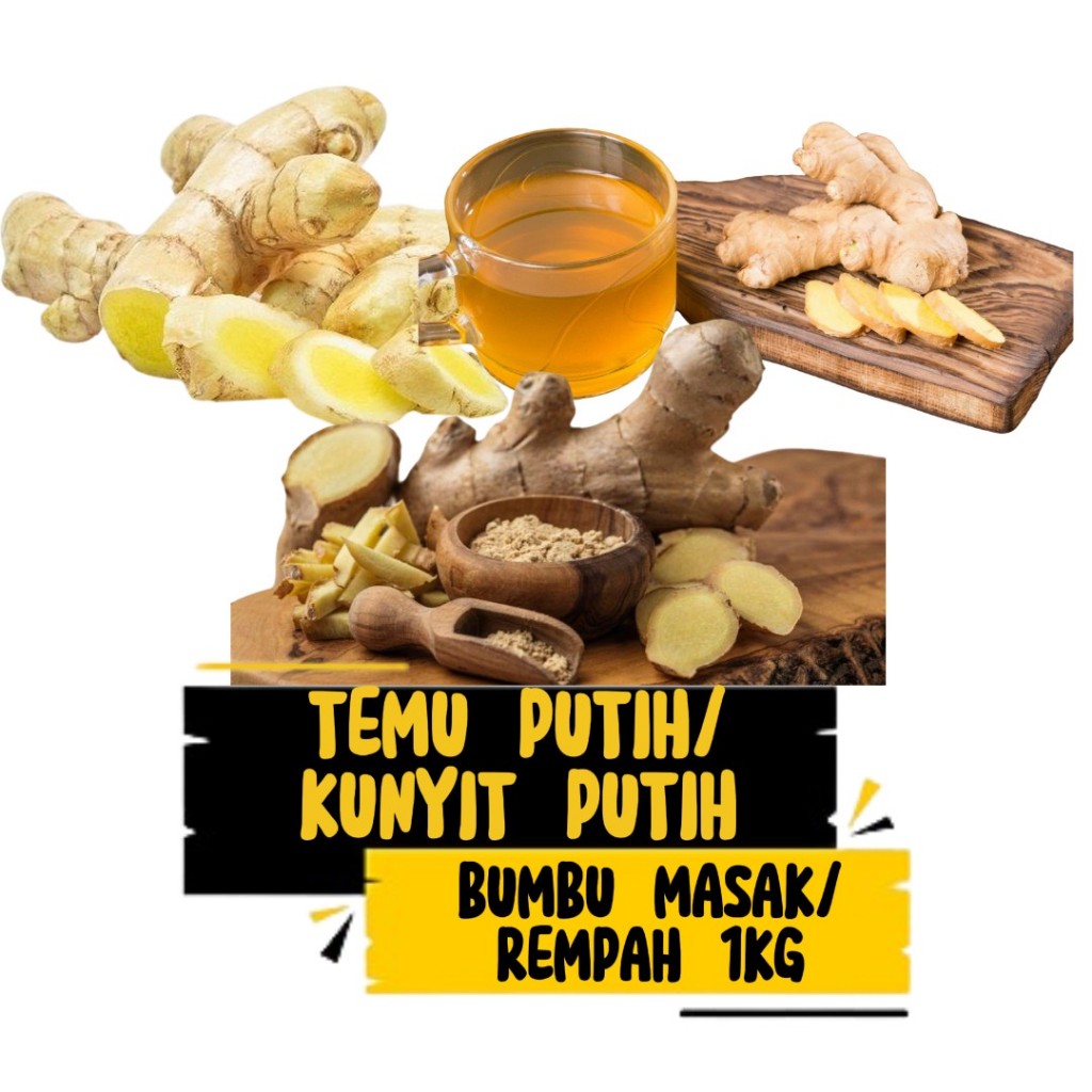 

TEMU PUTIH SEGAR 1 KG CURCUMA ZEDOARIA KUNING PUTIH KUNYIT PUTIH FRESH KUNIR PUTIH ALAMI