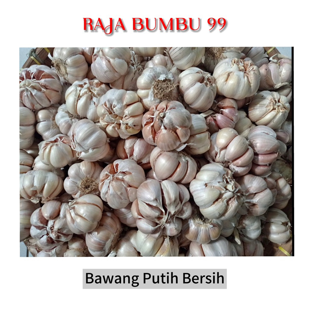 

BAWANG PUTIH