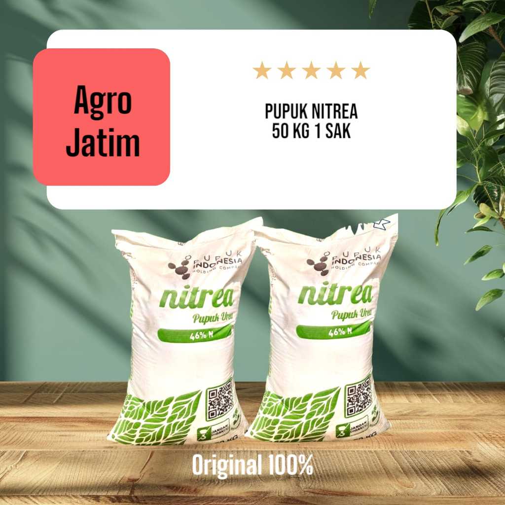 Pupuk Urea Nitrea Granul 1 Sak - 50 KG