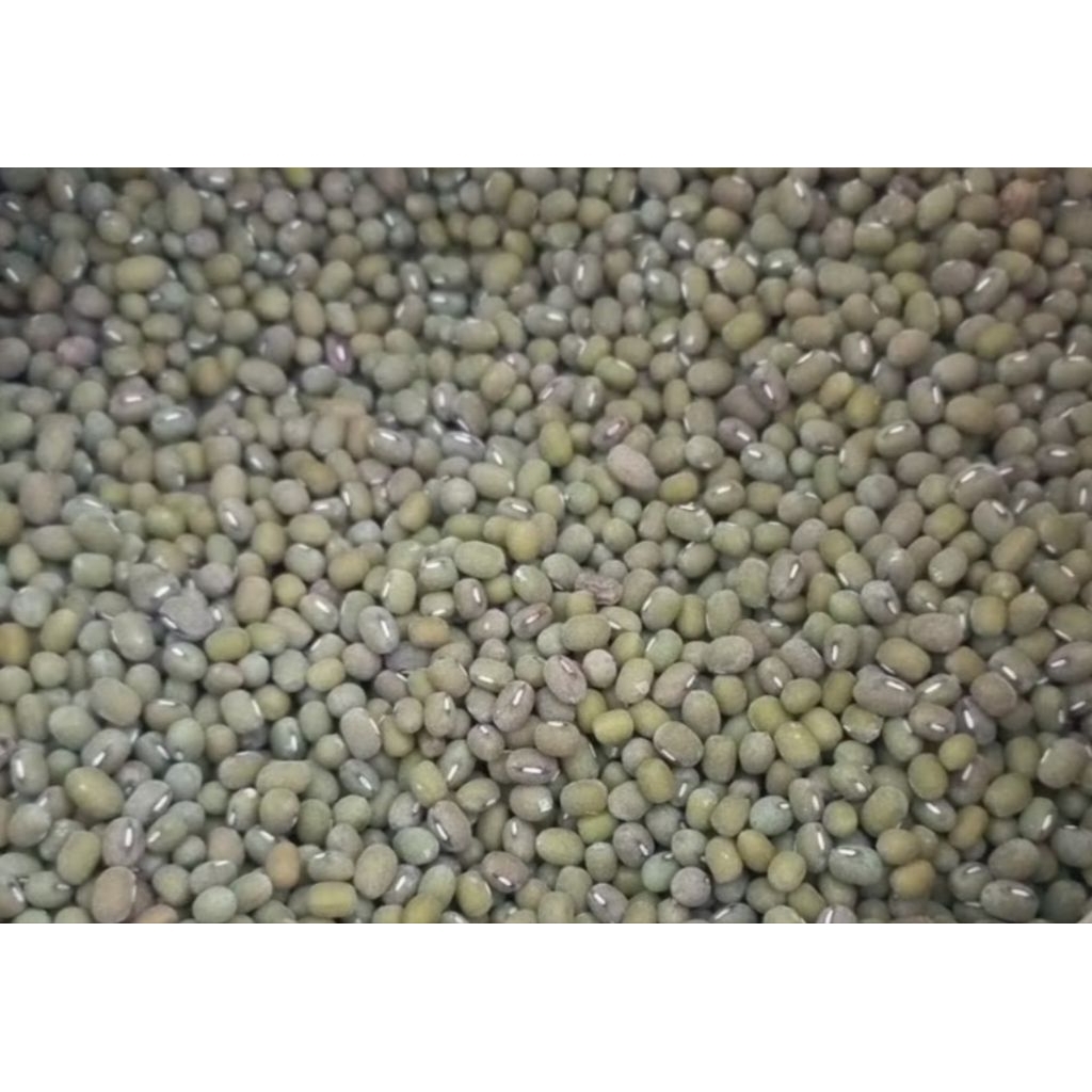 

kacang hijau / kacang ijo