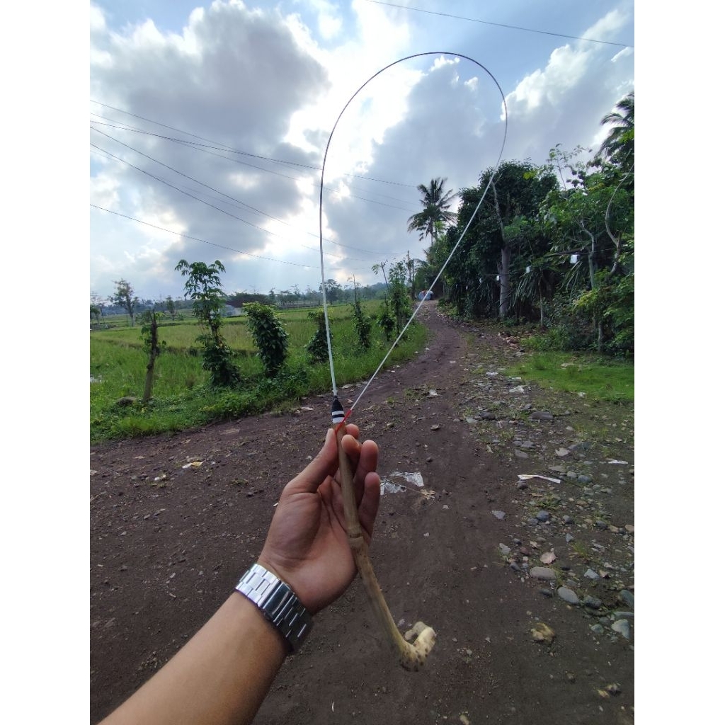 joran wader super lentur