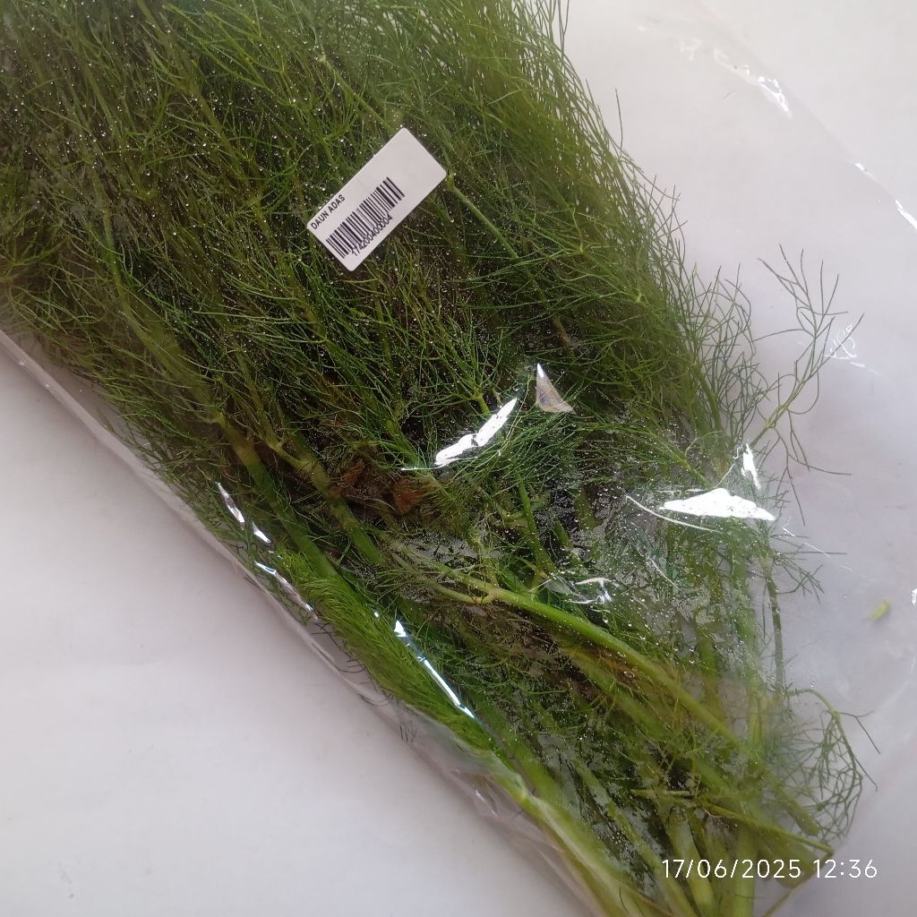 

Daun Adas Segar 100gram Fresh