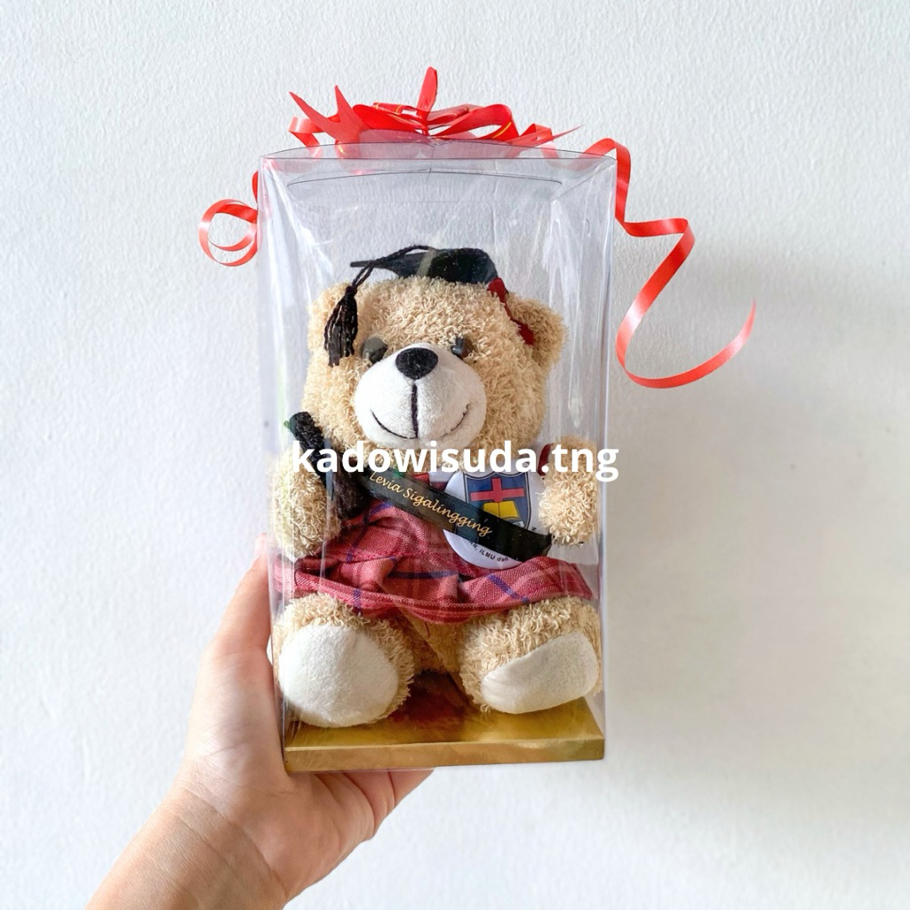 Boneka Sol Micro Custom Seragam TK SD SMP SMA Penabur | Kado Wisuda Kelulusan Unik Menarik