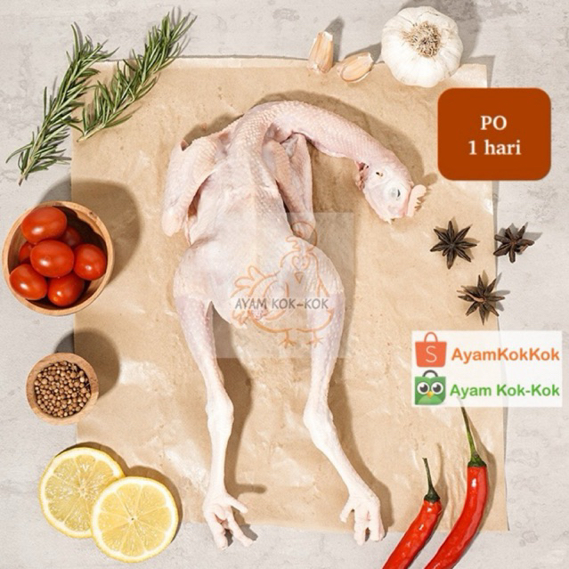 

Ayam Pejantan 500 gram (5 ons) ukuran hidup - FRESH