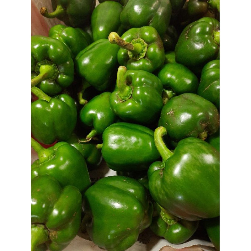 

Paprika Hijau Segar 500 gram