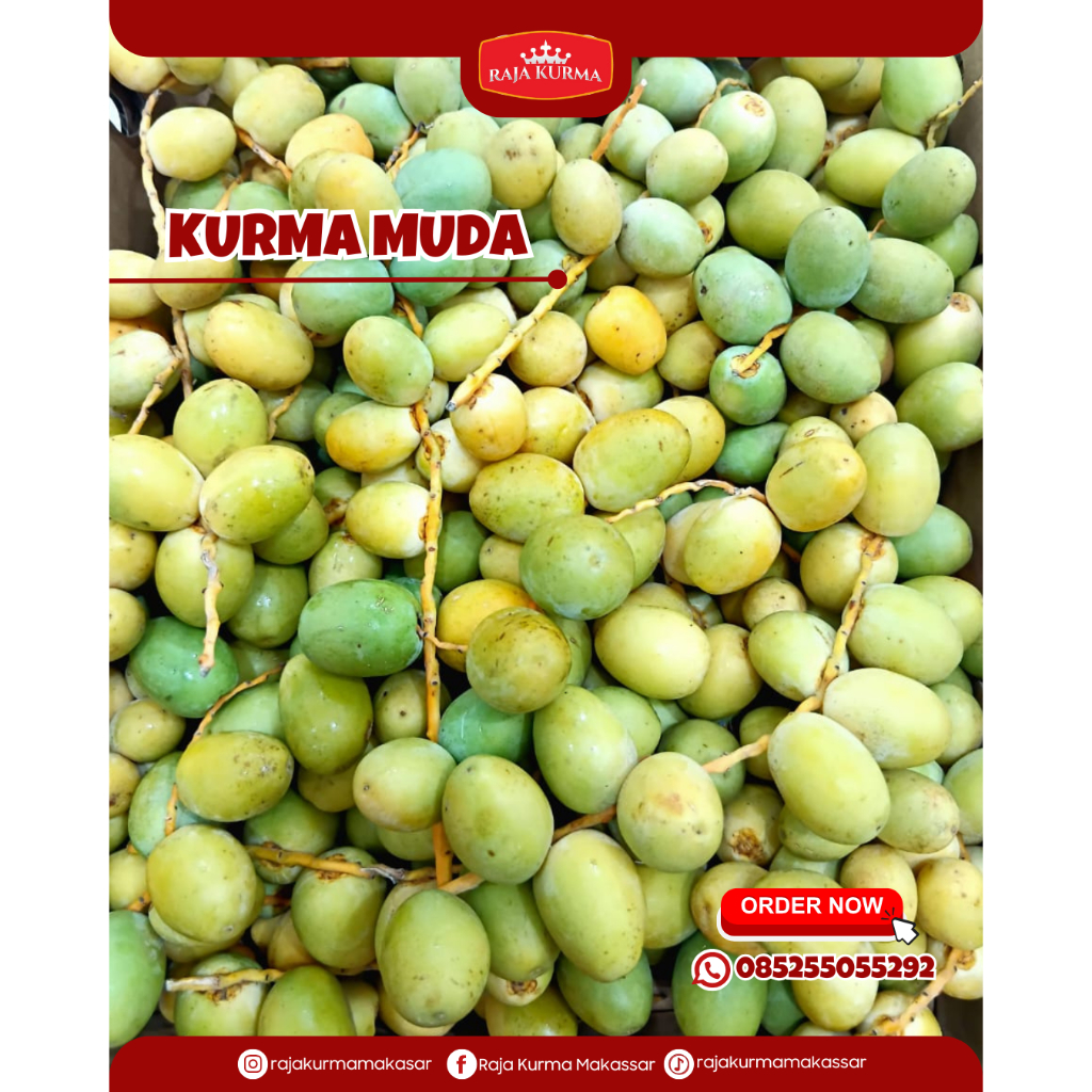 

Kurma Muda Promil Fresh Original NO FROZEN Makan Khas Arab Timur Tengah Oleh Oleh Haji Dan umroh