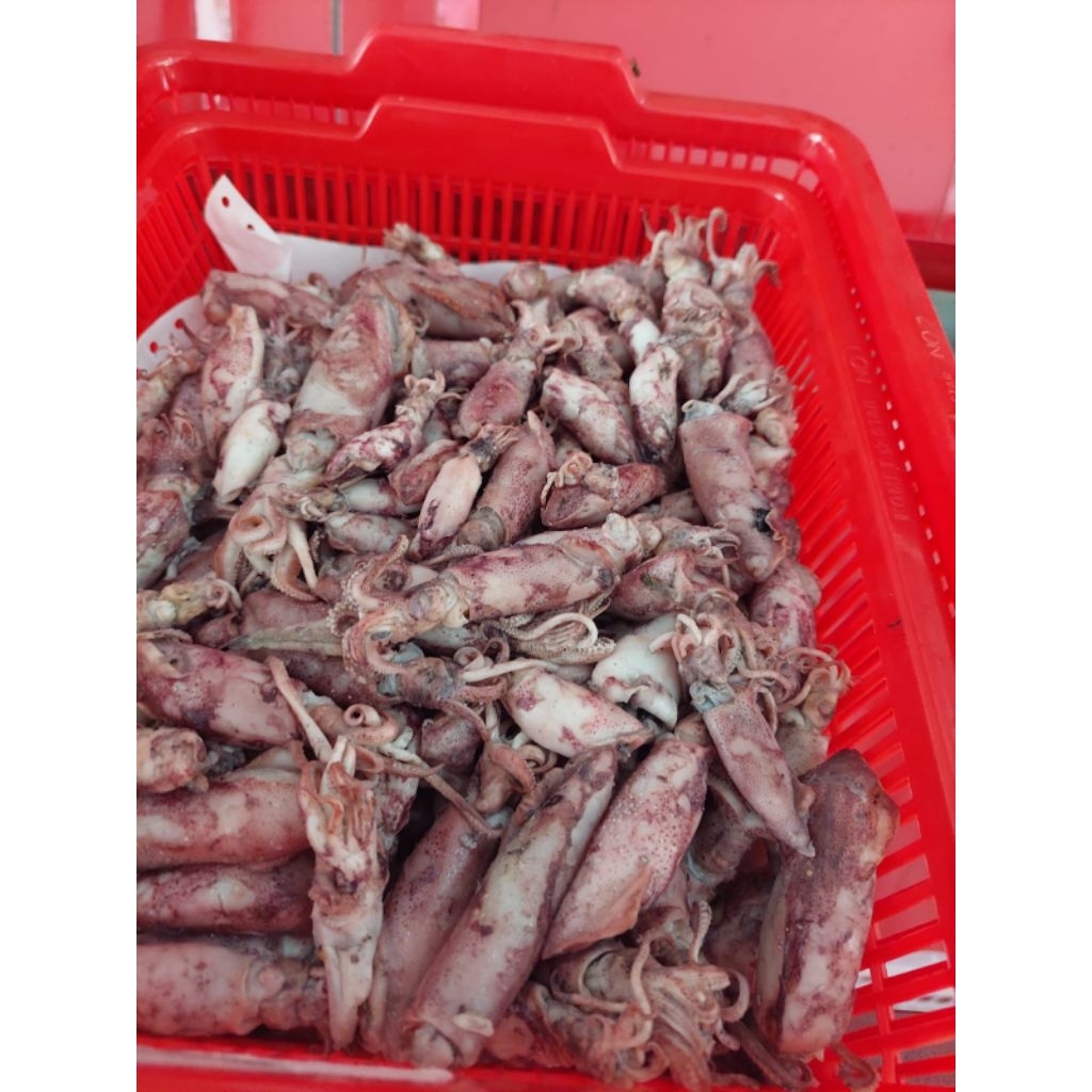 

Ikan Asin Cumi BK Per ons