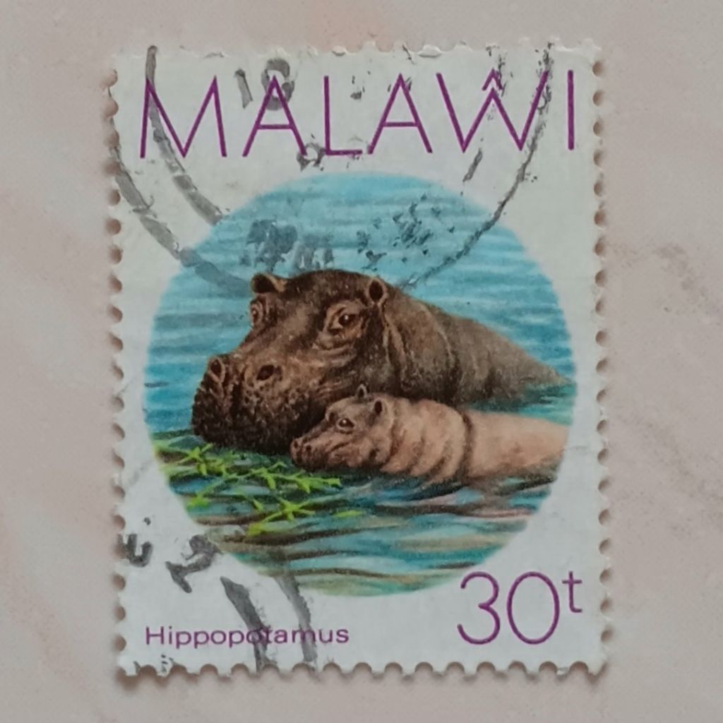

(AD) Perangko Malawi 1987 Hippopotamuses - Hippopotamus (Hippopotamus amphibius) 30 tambala Used
