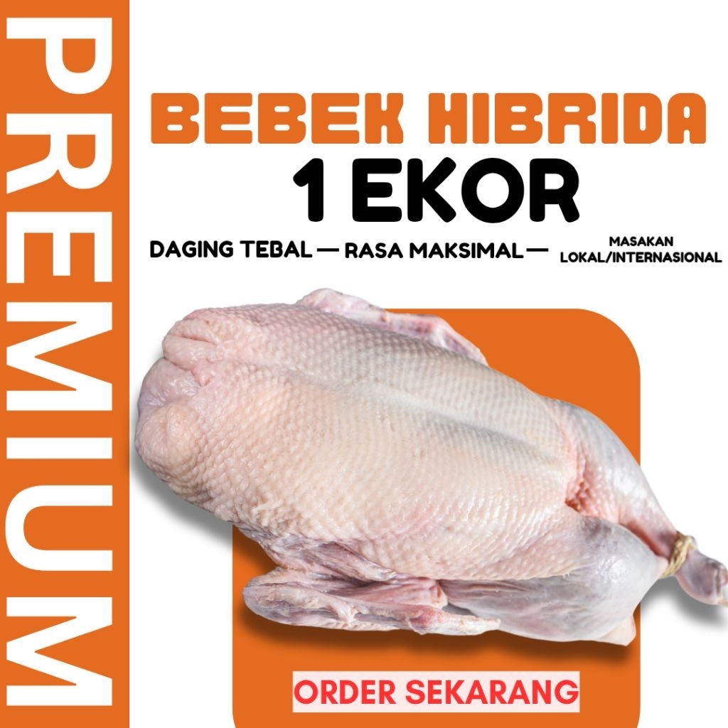 

Premium Bebek Hibrida 1 ekor - Ukuran besar 1.1