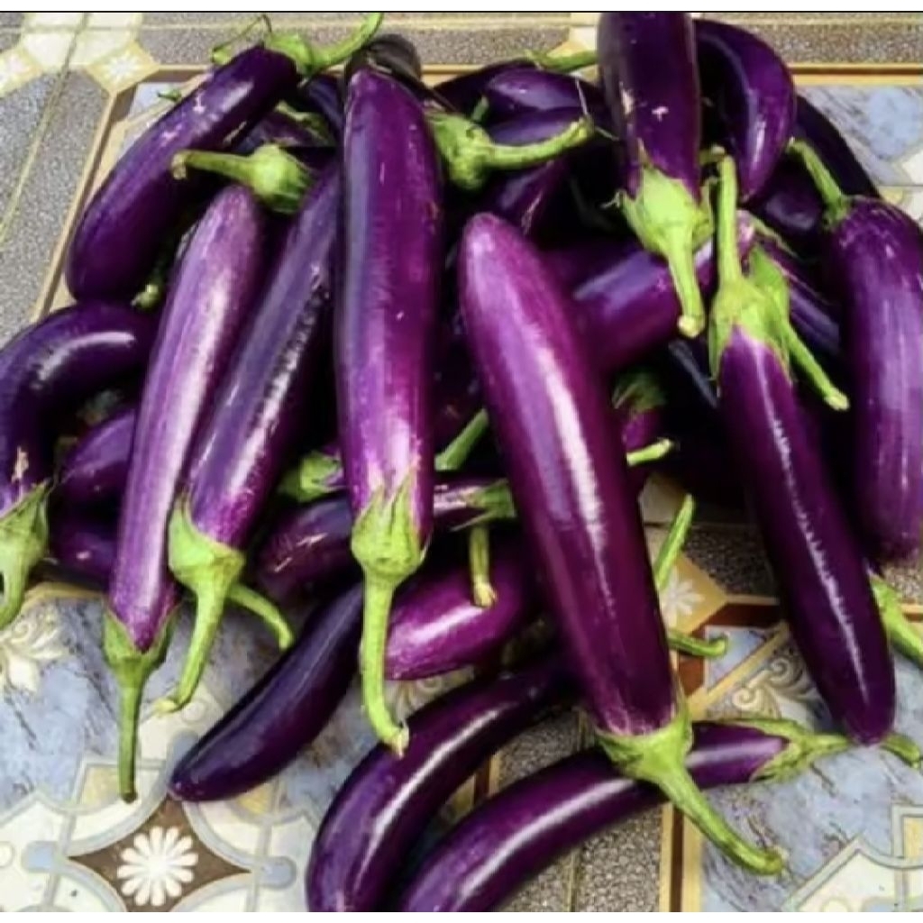 

Terong Ungu Segar 500 gram