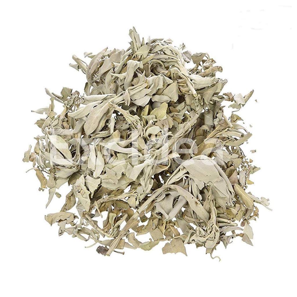 

sage kering dried leaves