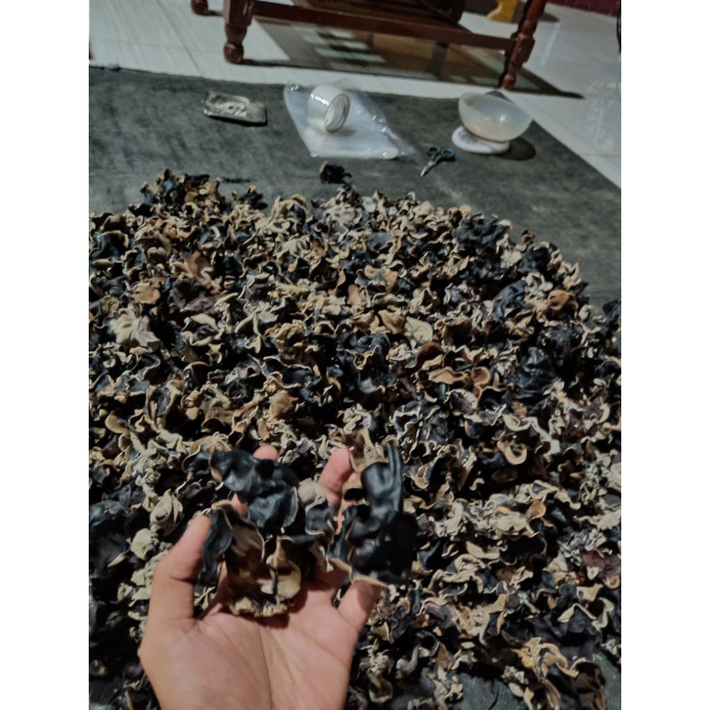 

jamur kuping kering hitam/mix daun sedang 1kg murah