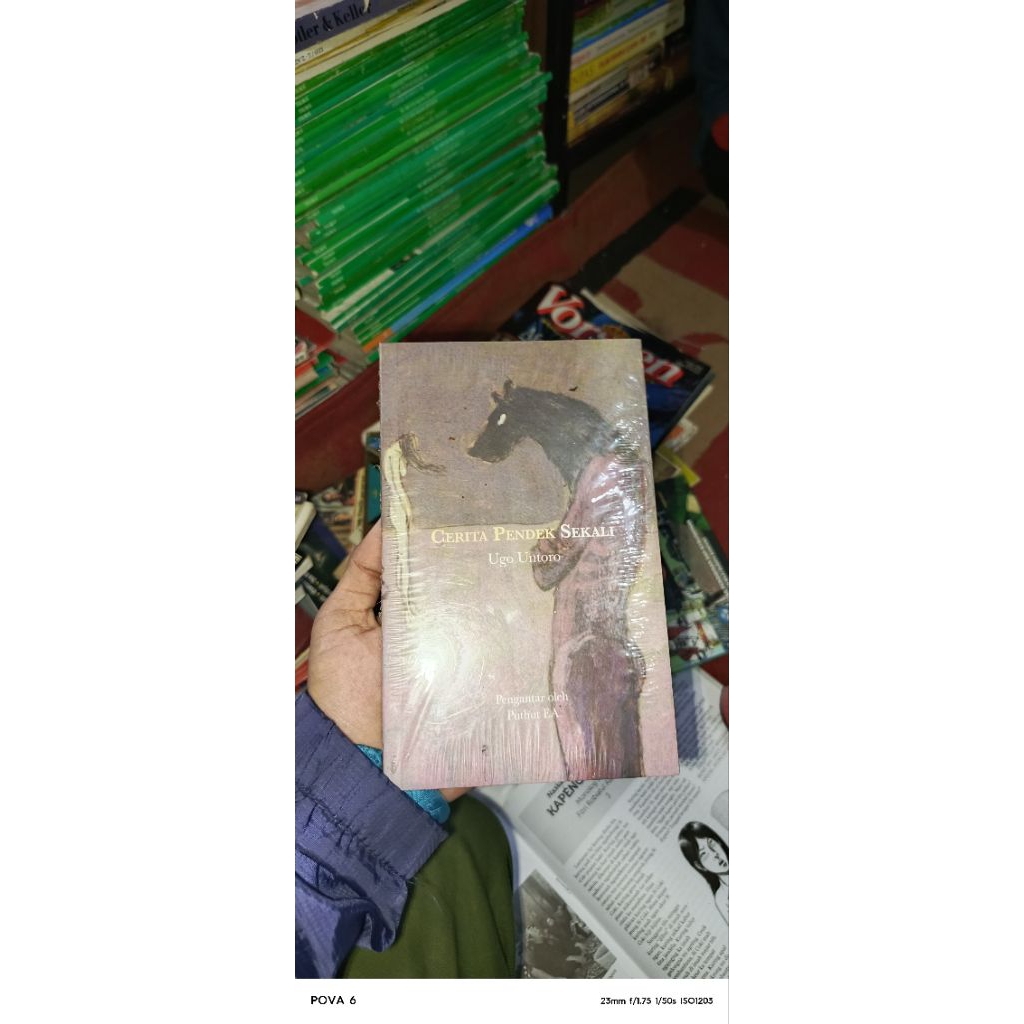 CERITA PENDEK SEKALI