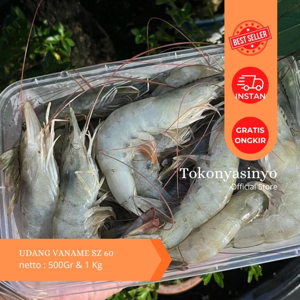 

UDANG FRESH 500GR KEMASAN BOX SZ 30 & SZ 60 | SHRIMP FRESH 500GR & 1KG
