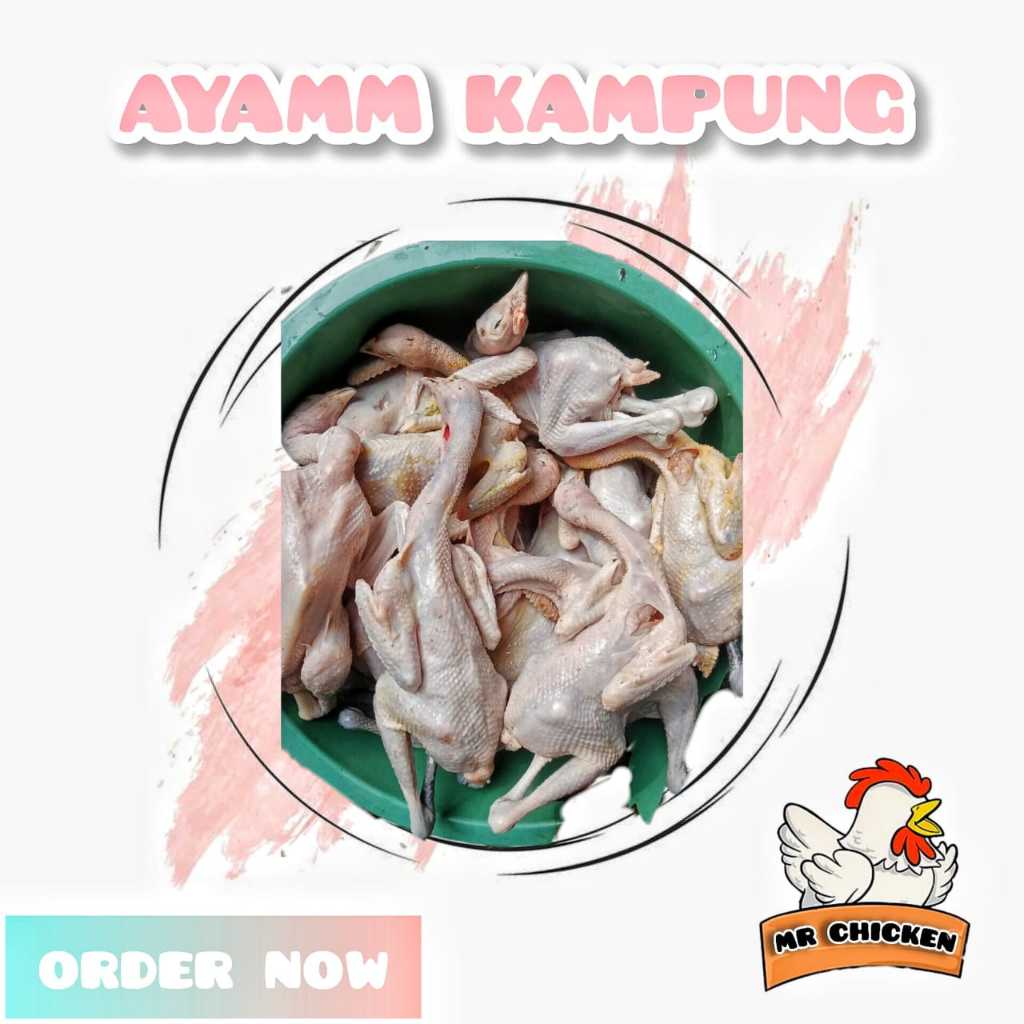 

Ayam Kampung Asli Utuh dan Halal