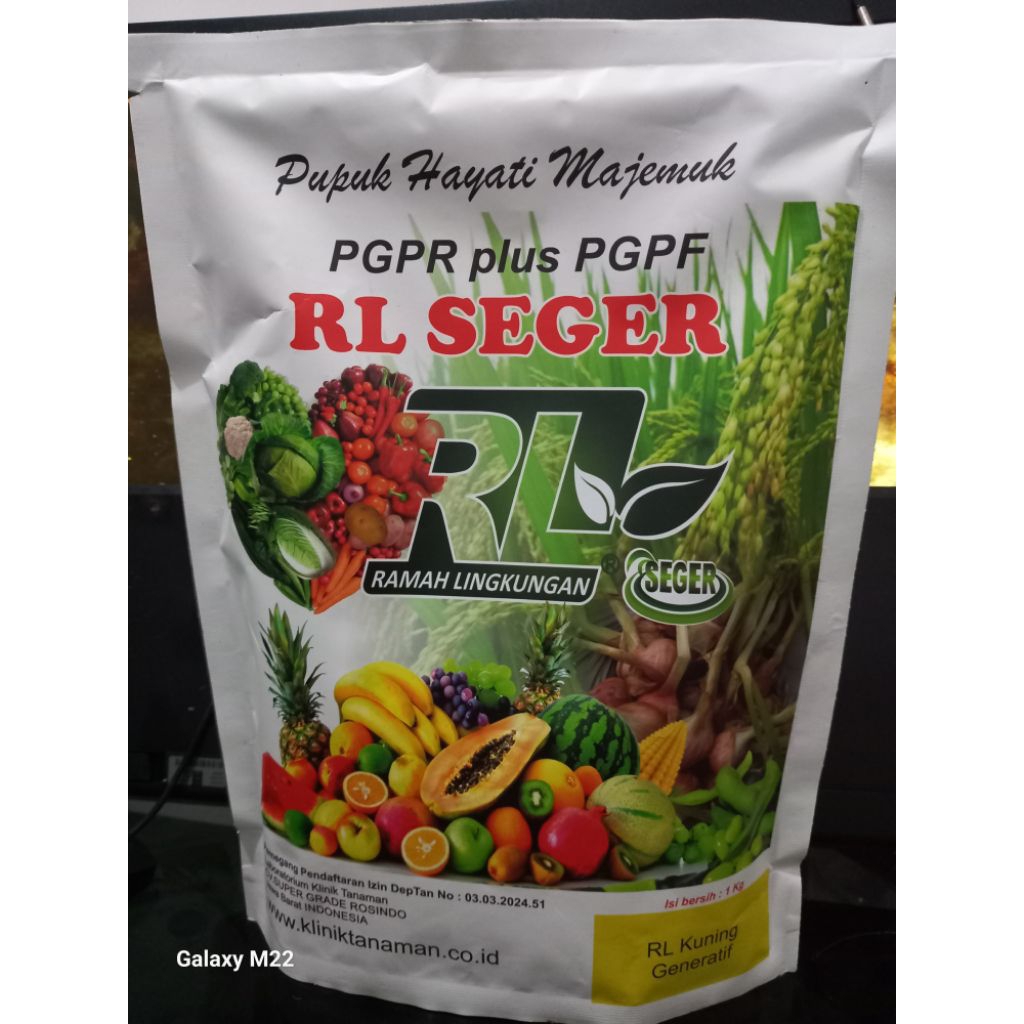 RL SEGER KUNING 1Kg