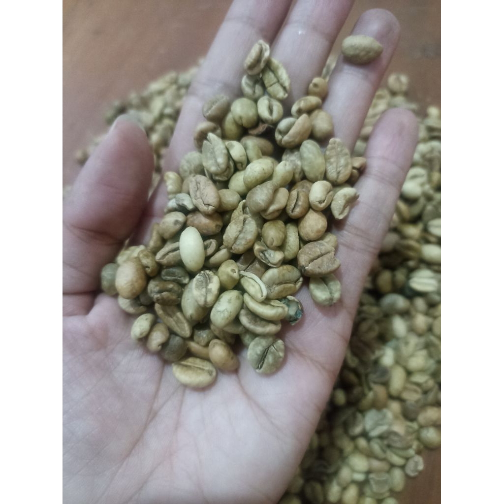

Kopi Sirsah atau Sari Grade A