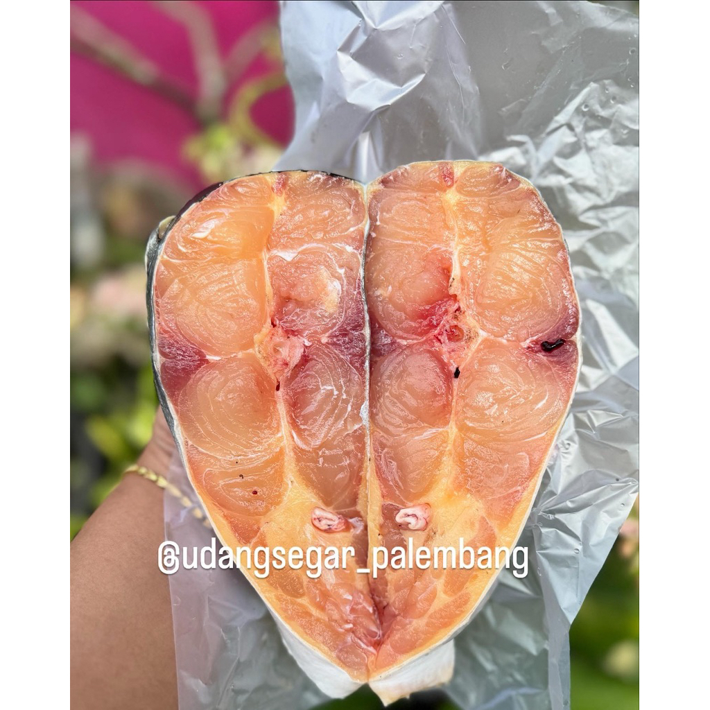 

Ikan Patin sungai iris 1 kg