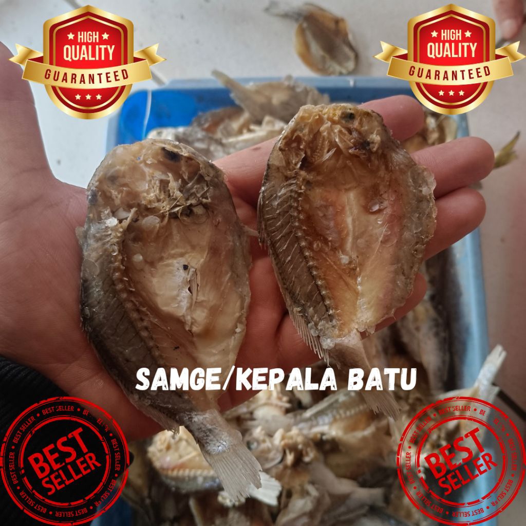 

ikan asin / samge /ikan asin kepala batu