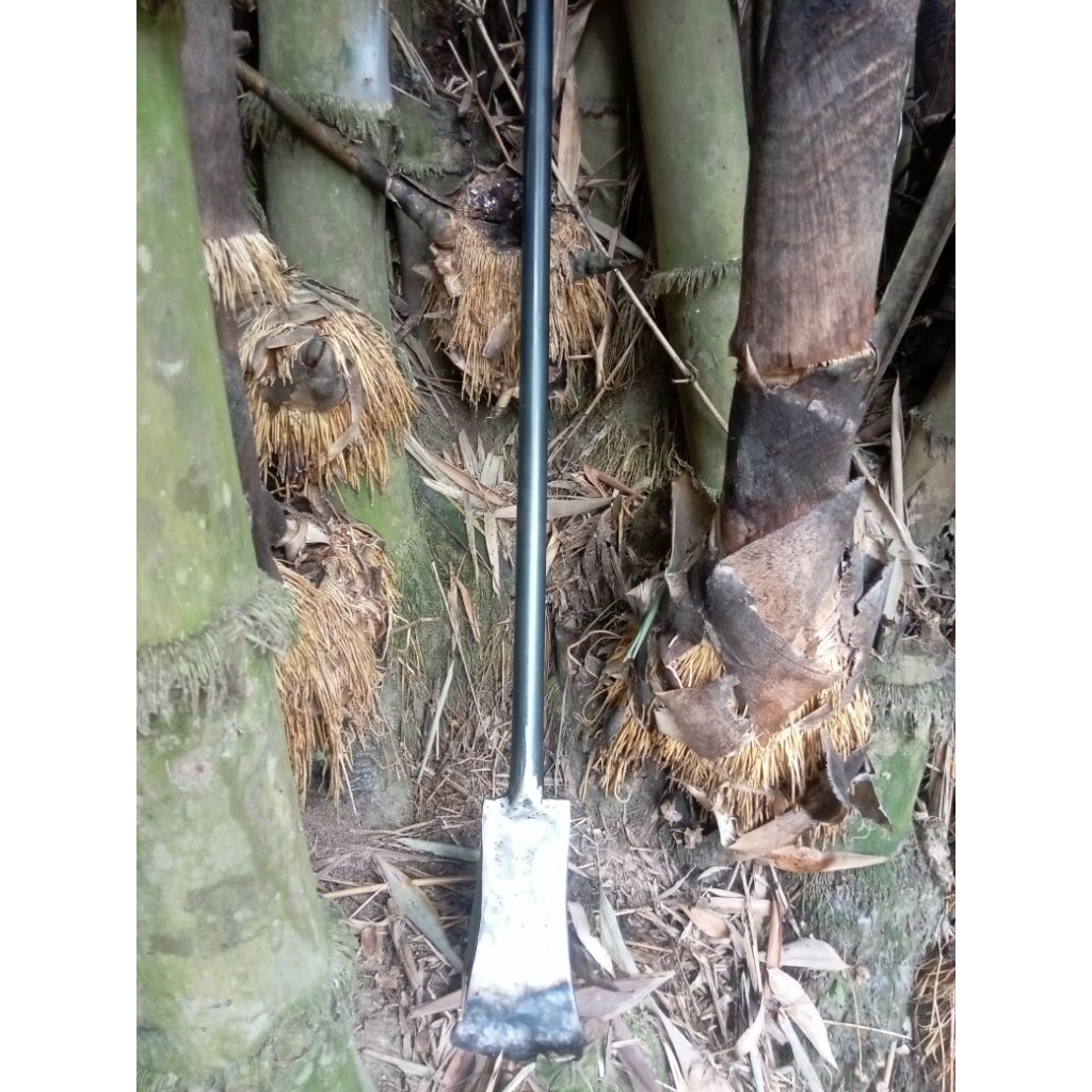 dodos besar linggis gali tanah super kuat