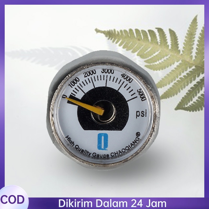 Manometer Pompa Pcp 5000 Psi Pompa Pcp Sparpart Manometer Pcp Digital Ukuran M10 Manometer Od 25  Ko