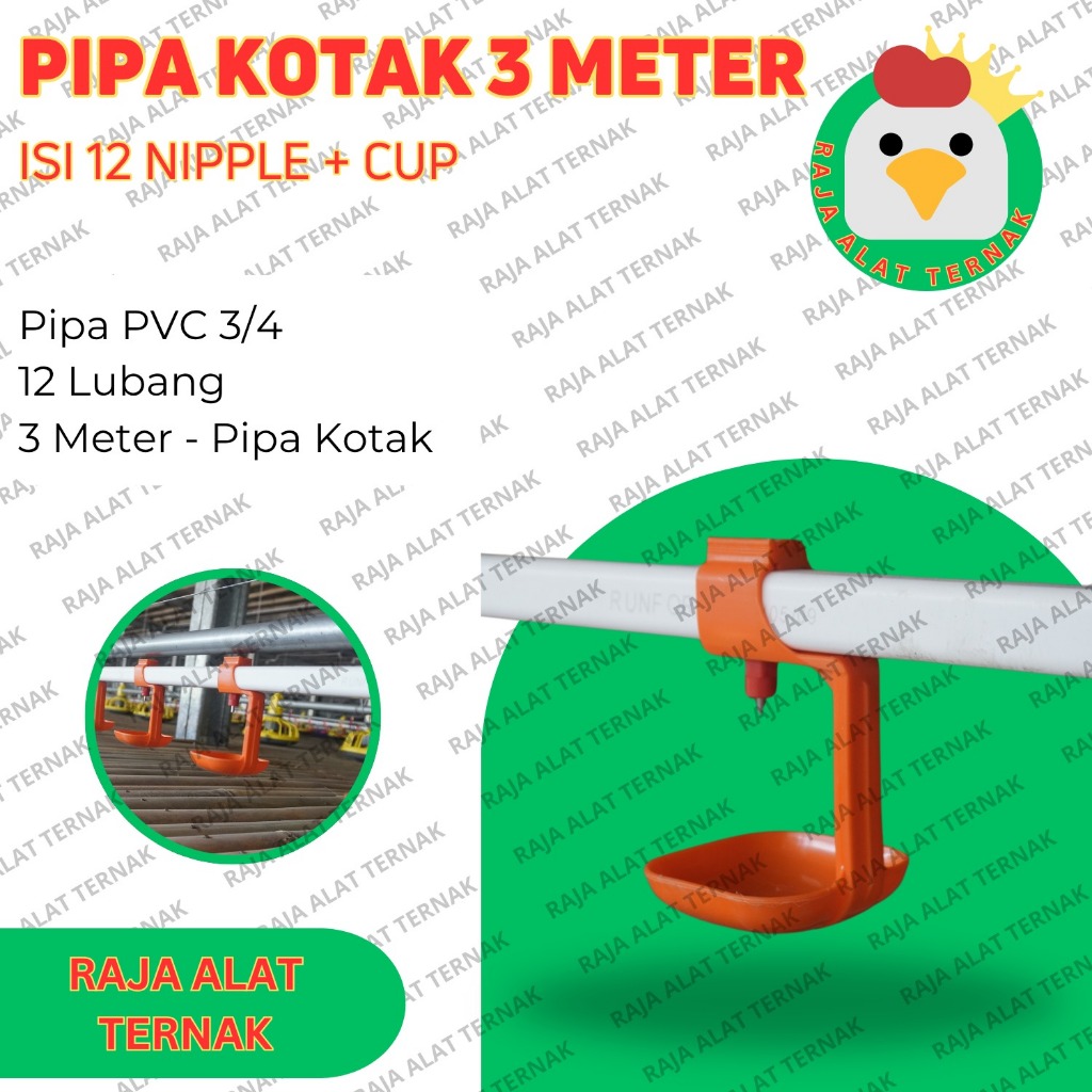 Pipa Kotak Plus Nipple 3/4 12 Lubang - Pipa/Paralon Kotak Nipple/Nipel/Napel/Nipple/Niple Ayam - Ala
