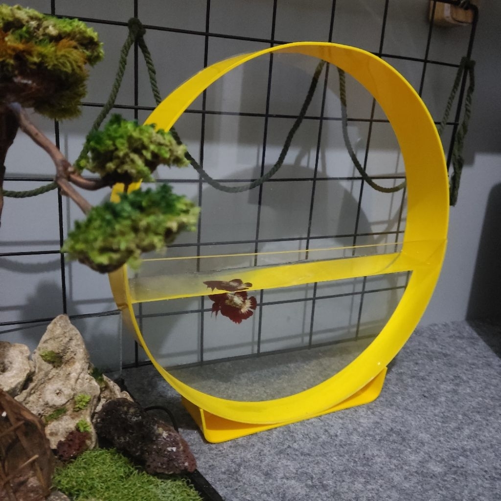 Aquarium minimalis bulat unik DECORIUM 30CM