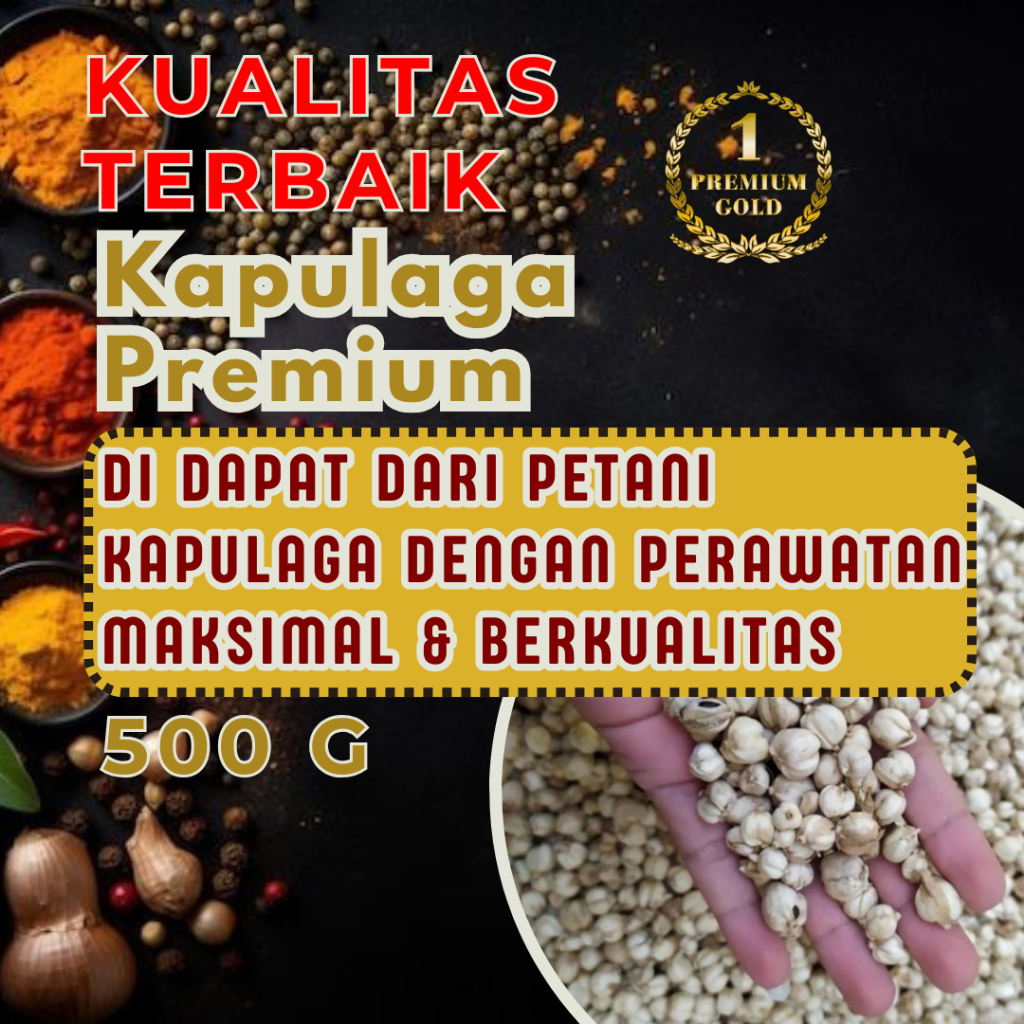 

Kapulaga Kering Premium Rempah Pilihan Terbaik 500gr