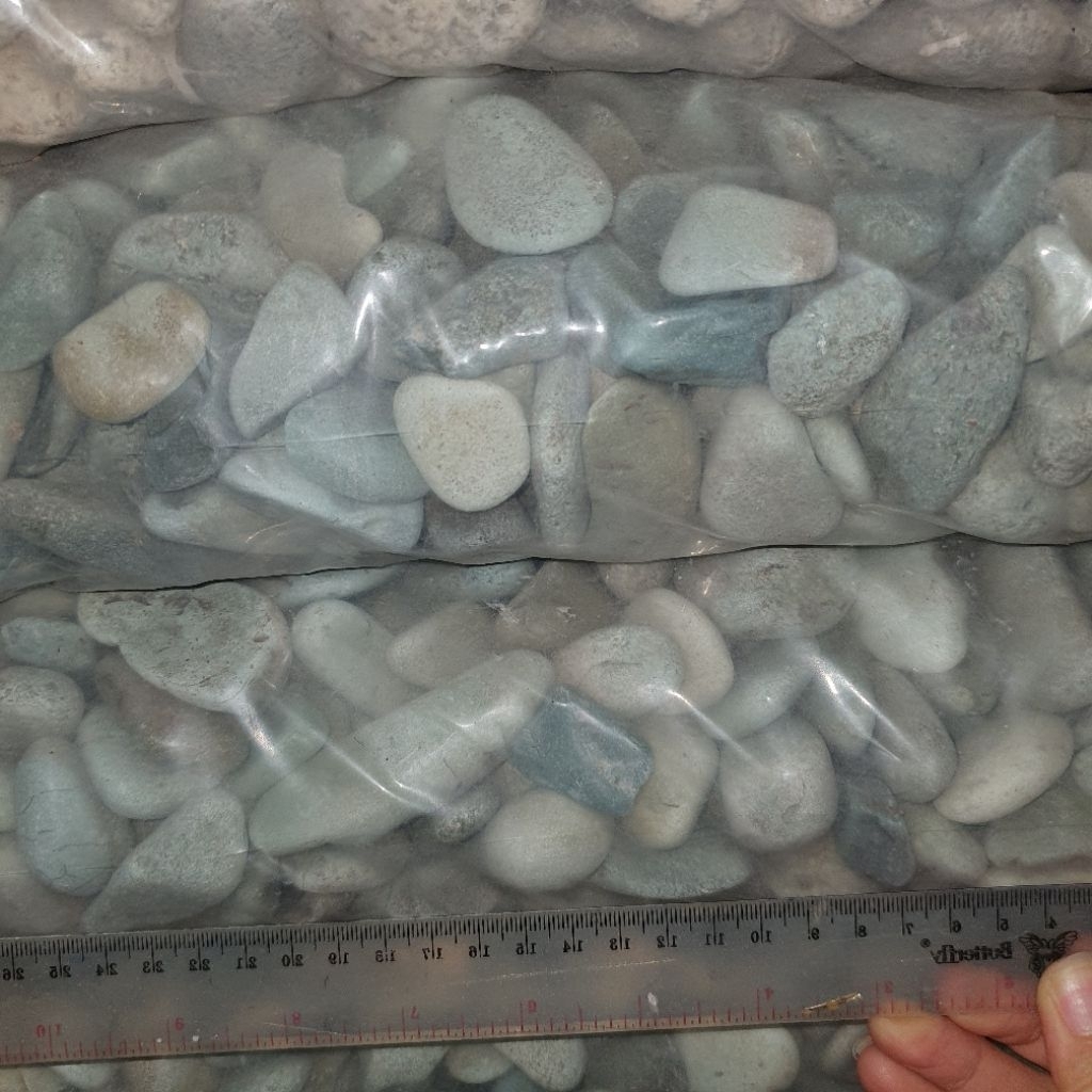 Batu Coral Taman Warna Hijau