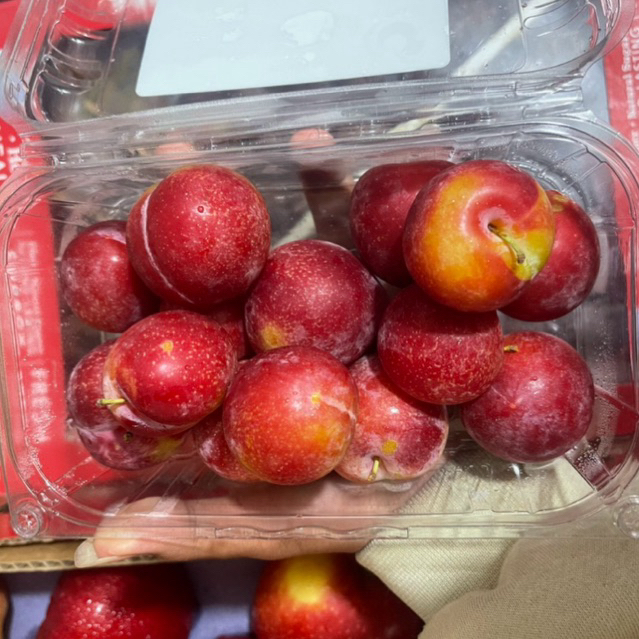 

Plum Red Cherry Import | Plum Merah Ceri | Pack