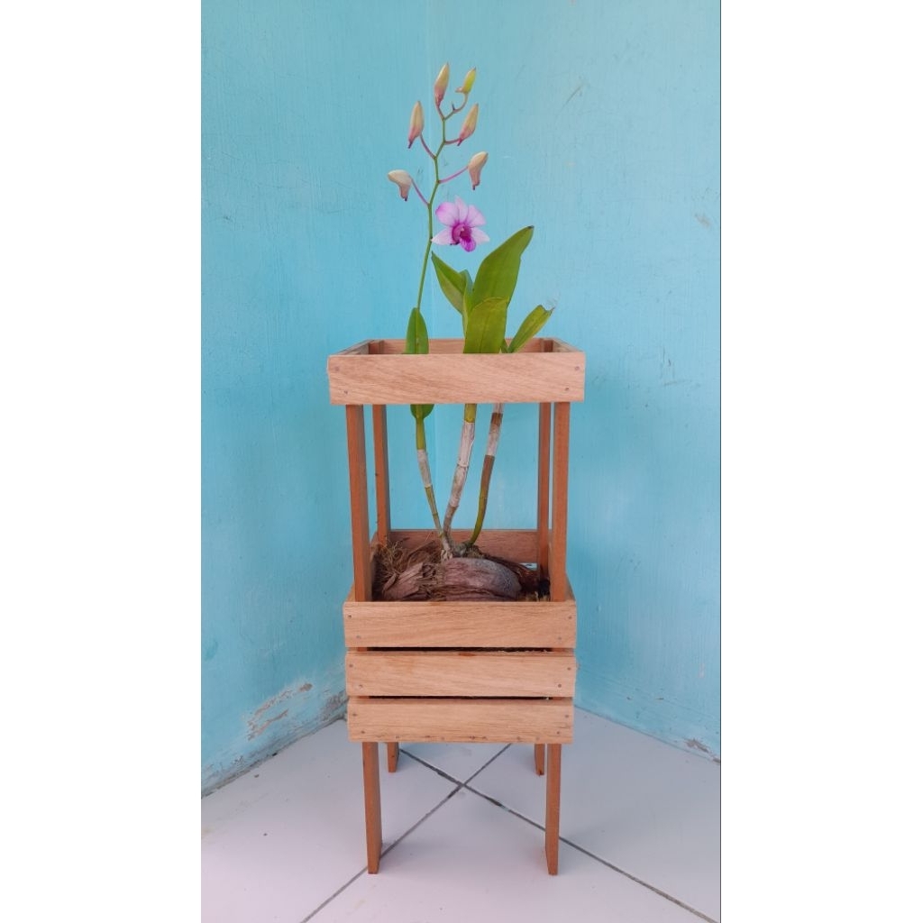 Rak Kayu Anggrek
