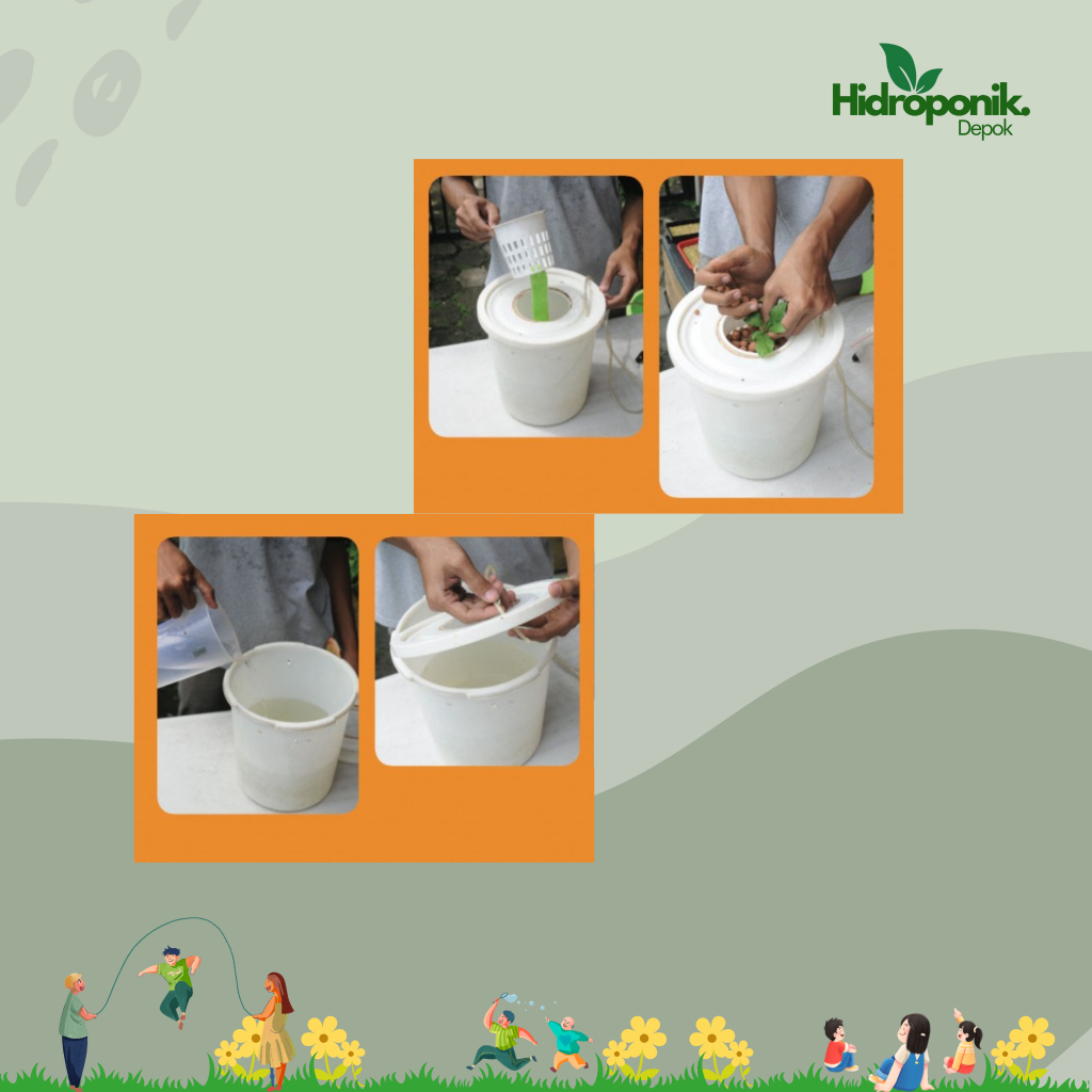 Lintang Gardening Paket Hidroponik System Dutch Bucket Tanaman Cabe Rawit