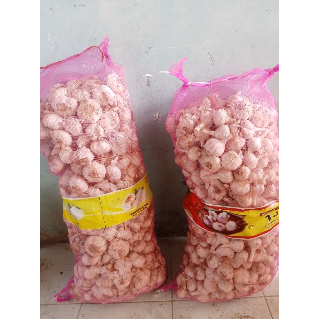 

Bawang putih sinco dan kating