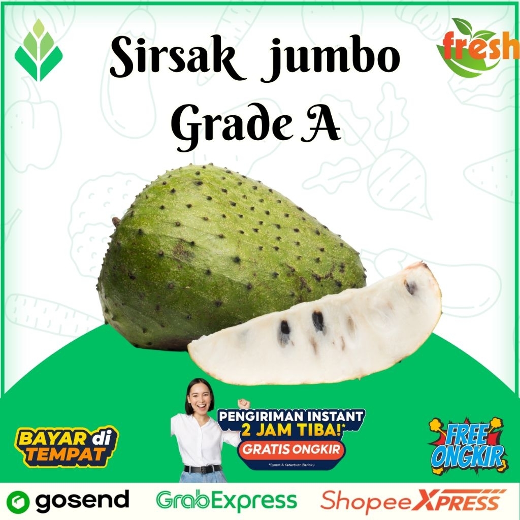 

Sirsak Setengah matang/sirsak jumbo 1kg 1 buah