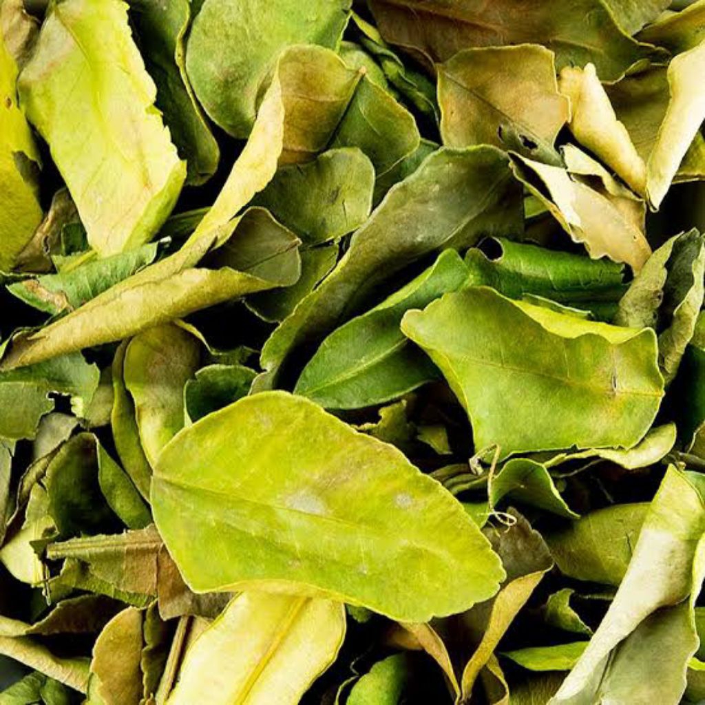 

Daun purut kering